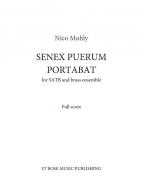 Senex Puerum Portabat 