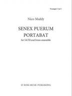 Senex Puerum Portabat 