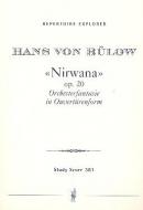 Nirwana op. 20 