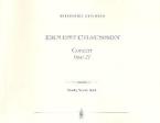 Concert in Re majeur op.21 