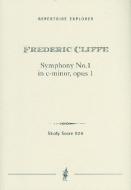 Erste Sinfonie in c-Moll op.1 