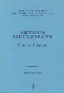 Plinius'Fontein (Brunnen des Plinius) (1913) 