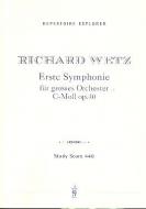 1. Symphonie c-Moll op. 40 