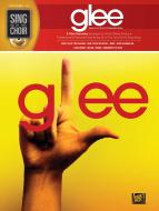 Sing With The Choir Vol. 14: Glee 