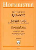 Konzert e-Moll QV5:113 
