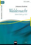 Waldesnacht 