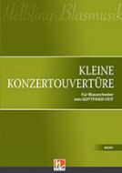 Kleine Konzertouvertüre 