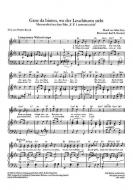 Ganz da hinten, wo der Leuchtturm steht 