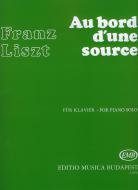 Au bord d'une source 