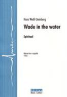 Wade In The Water 