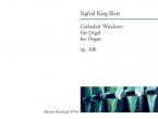 Cathedral Windows op. 106 