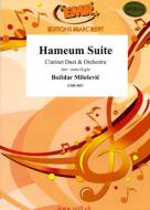 Hameum Suite Standard