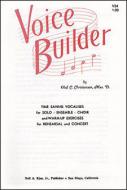 Voice Builder 