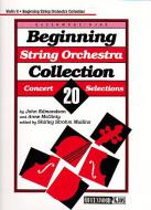 Beginning String Orchestra 