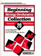 Beginning String Orchestra 