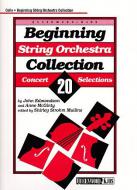 Beginning String Orchestra 