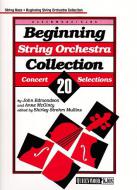 Beginning String Orchestra 