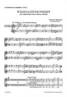 Ich verkündige euch große Freude Standard