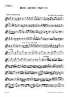 Jesu, meine Freude Standard