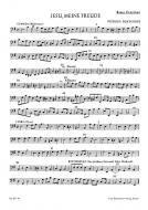 Jesu, meine Freude Standard