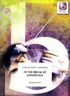 At The Break Of Gondwana 