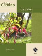 Los Ludios 