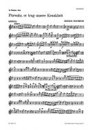 Fürwahr, er trug unsere Krankheit BuxWV 31 Standard