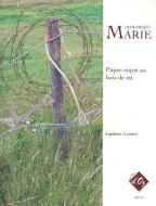 Pique-nique au bois de mi 