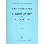 Streichquintett F-Dur / Intermezzo d-moll (1878-79) 