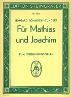 Für Mathias und Joachim 