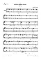 Warum toben die Heiden SWV 23 