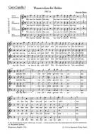 Warum toben die Heiden SWV 23 Standard