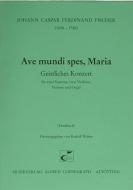 Ave mundi spes, Maria 
