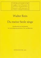 Du meine Seele, singe 