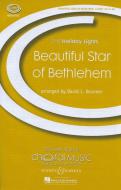 Beautiful Star Of Bethlehem 