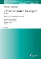 Domine salvum fac regem Standard