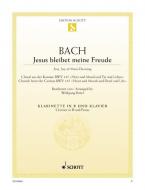 Jesus bleibet meine Freude Standard