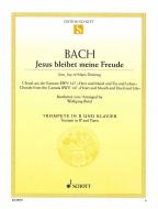 Jesus bleibet meine Freude Standard