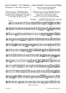 Christ lag in Todesbanden 