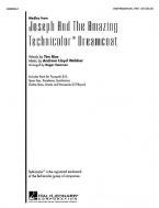 Joseph And The Amazing Technicolor Dreamcoat 