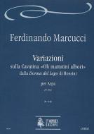 Variations on the Cavatina Oh mattutini albori 