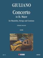 Concerto in B flat major 