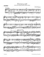Orchester-Ouvertüre g-Moll TWV 55:g4 