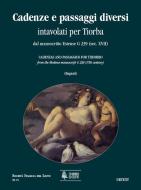 Cadenze e Passaggi diversi For Theorbo 