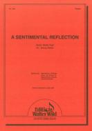 A Sentimental Reflection 