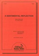 A Sentimental Reflection 