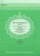 Top of Evergreens No. 2 