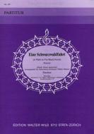 Eine Schwarzwaldfahrt 