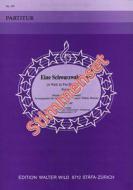 Eine Schwarzwaldfahrt 