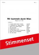 Wir bummeln durch Wien 